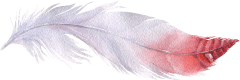 White Cloud Feather