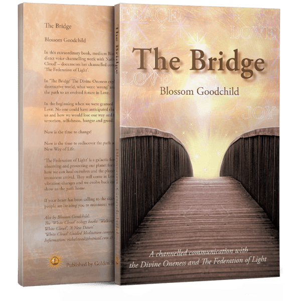 The Bridge