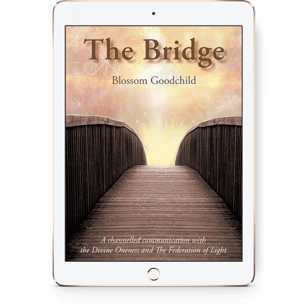 The Bridge eBook