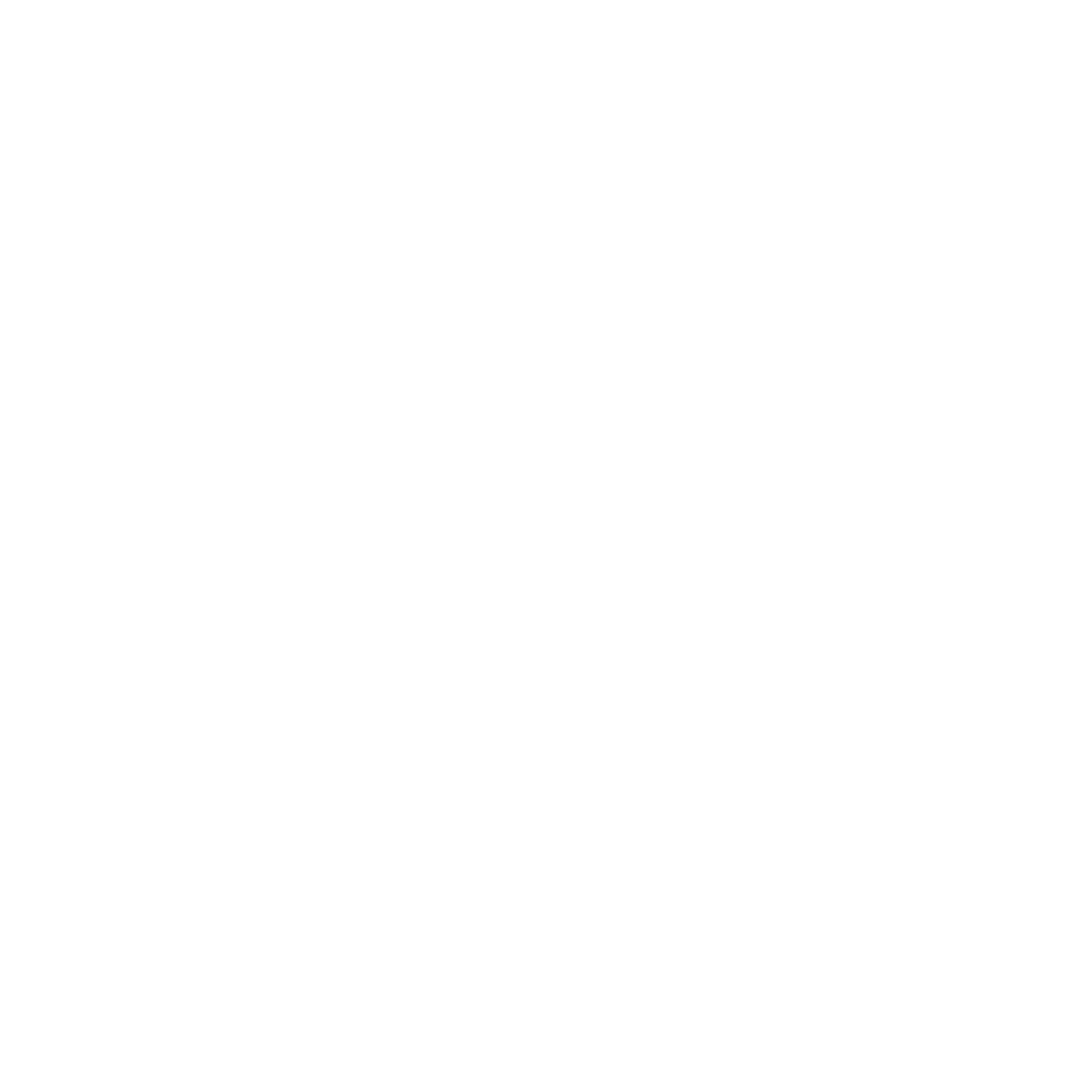 Soul Soother Dolphin Icon